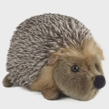 Hedgehog Teddy