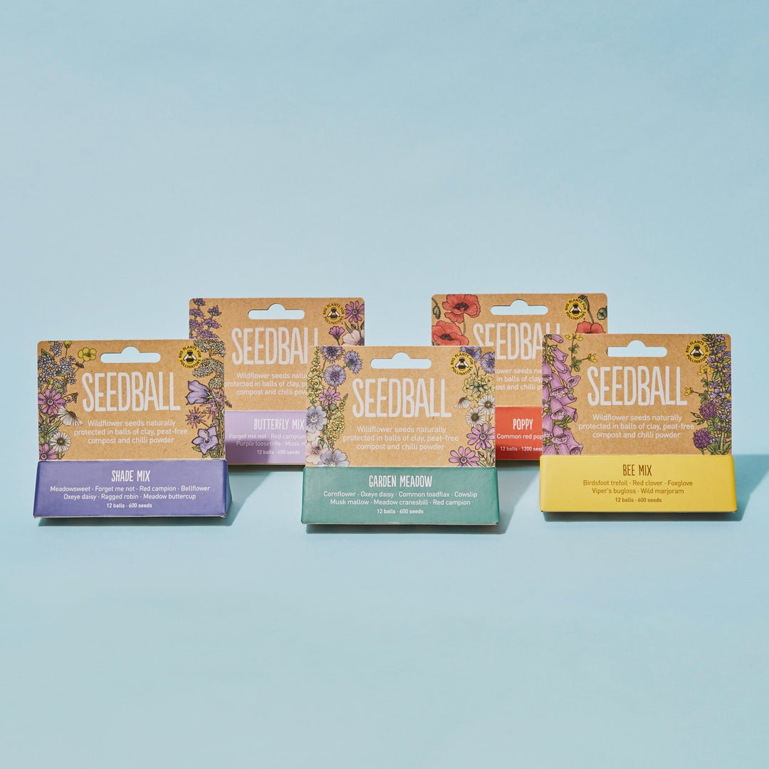Mixed Seedball Pack