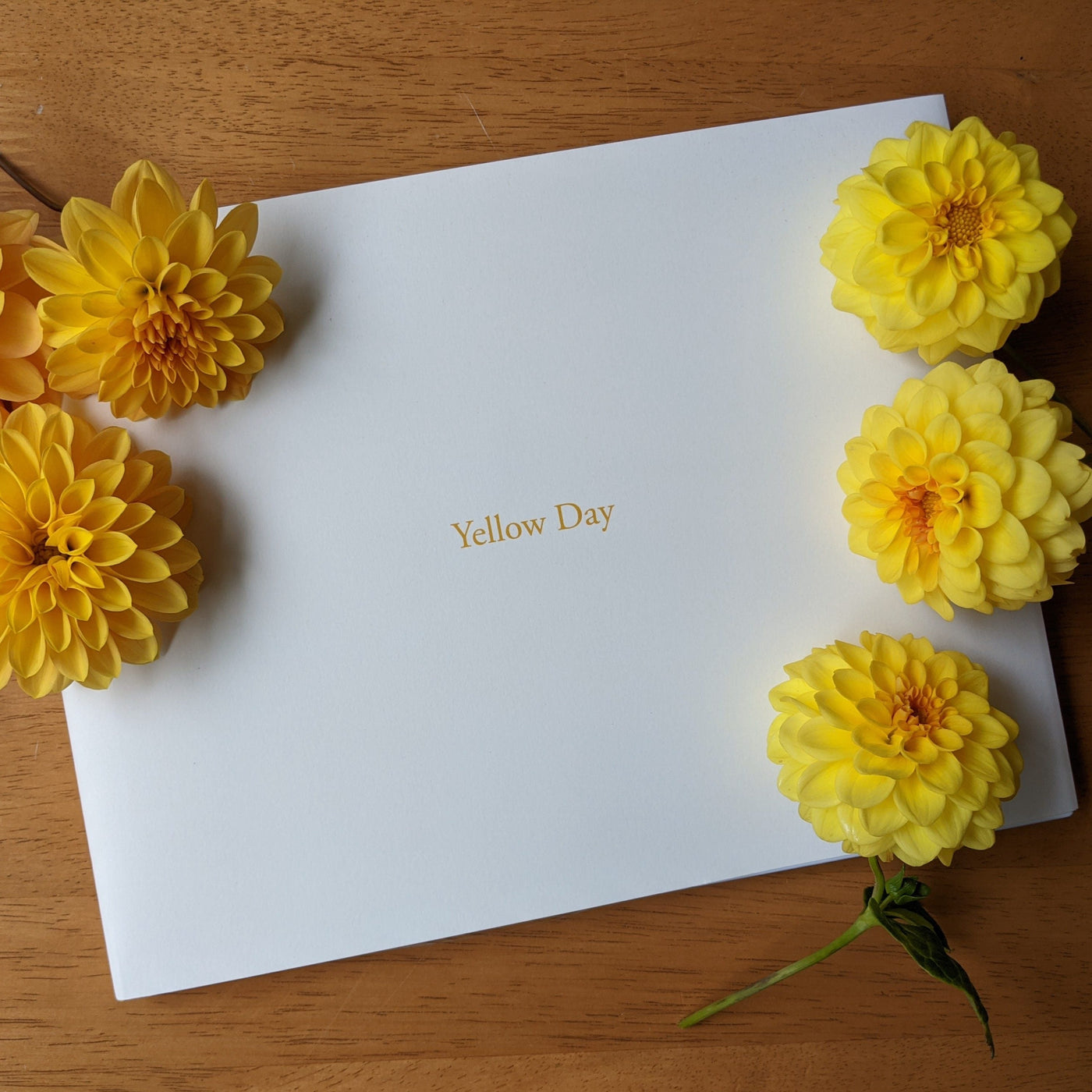 Yellow Day Book